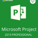 project professional 2019