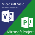 project professional 2019 visio professional 2019