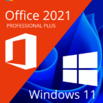 windows 11 professional office 2021 professional plus